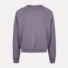 Raglan Sweatshirt Raglan Sweatshirt